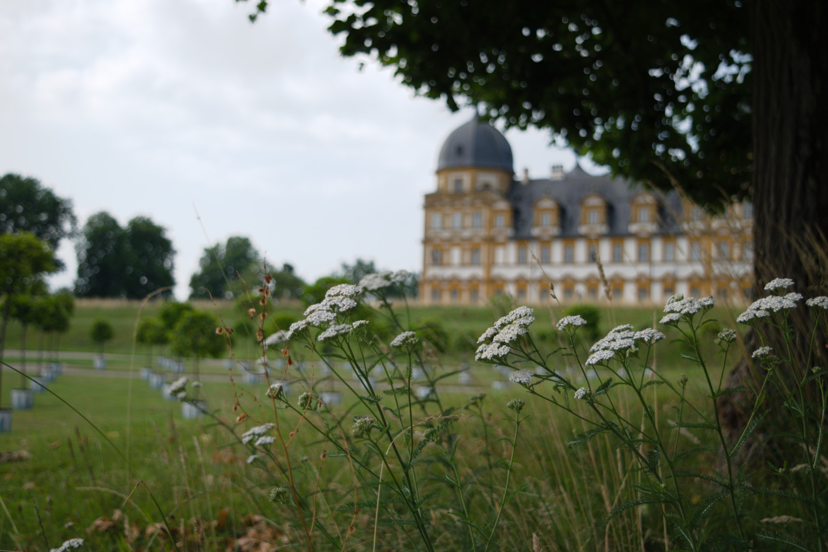 Blick über das Orangerieparterre zum Schloss Seehof, Foto: Lisa Heun