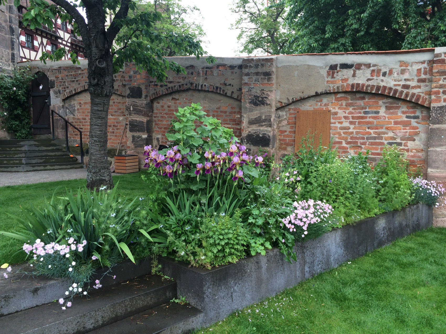 Bunte Blumen im Maria Sybilla Merian-Garten auf der Kaiserburg in Nürnberg, Foto: Sven-Patric Klameth