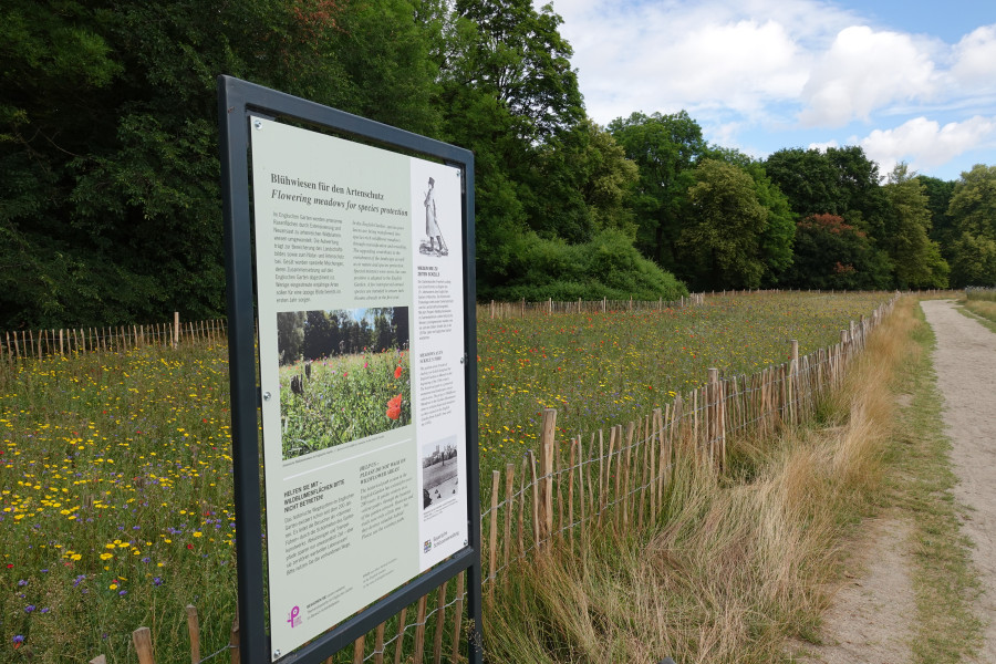 Schautafel und eingezäunte Wiesenfläche im Englischen Garten