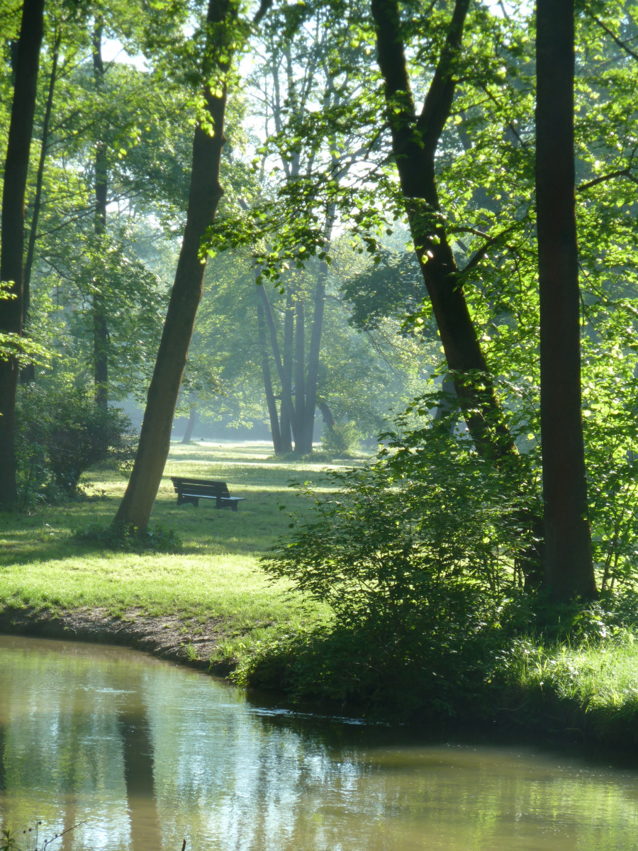 Sonnenbeschienene Wiese mit Bäumen, Bank und Flußlauf im Englischen Garten München