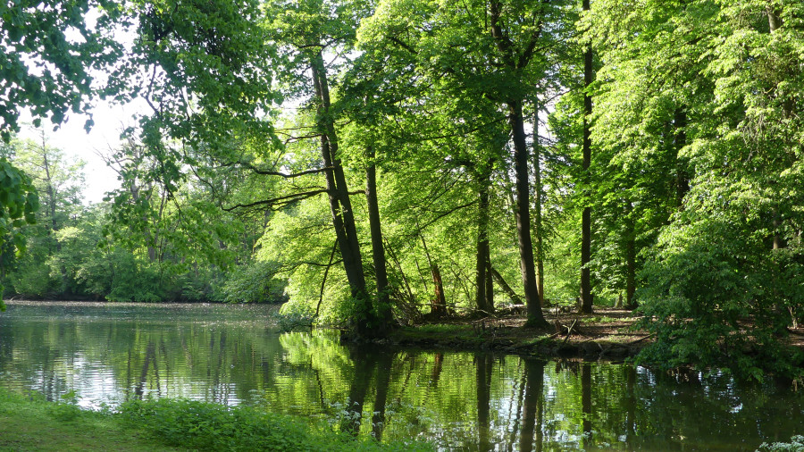 Von Bäumen umstandener See im Nymphenburger Schlosspark