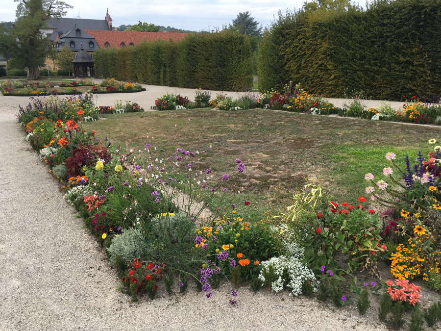 Das Foto zeigt von bunt blühenden Pflanzen umstandene braunvertrocknete Rasenflächen im Hofgarten Veitshöchheim, diese werden von Kieswegen gesäumt